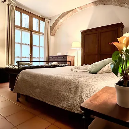 Arena In - Centre * Verona